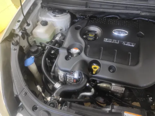 Kia Carens 2009 Tt option