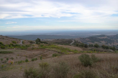 Vente Terrain Blida Djebara
