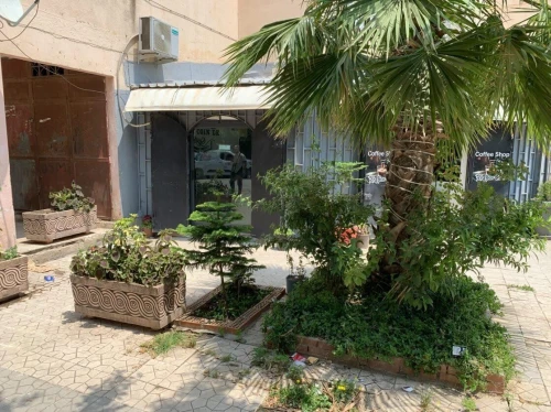 Vente Local Blida Beni tamou