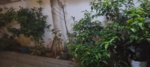 Vente Appartement F4 Alger Dar el beida