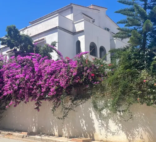 Vente Villa Alger Ouled fayet