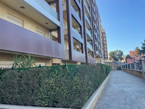 Location Appartement Alger Ouled fayet