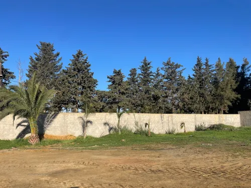 Vente Terrain Alger Birkhadem