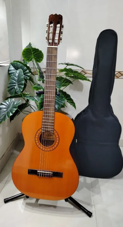 Des Guitares classiques professionnel