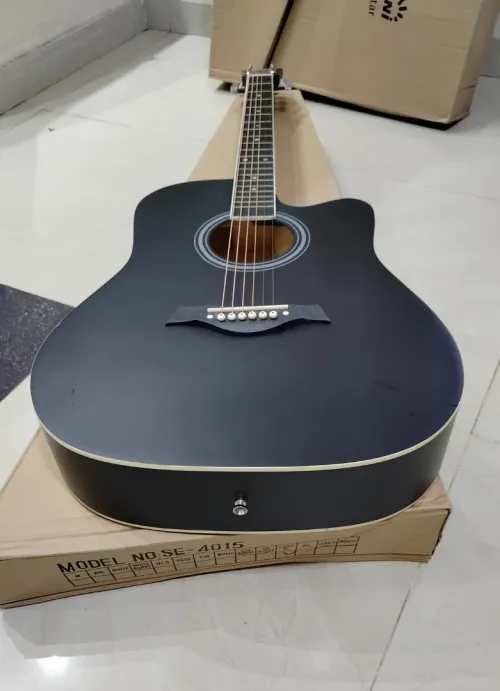 Guitares acoustiques folk