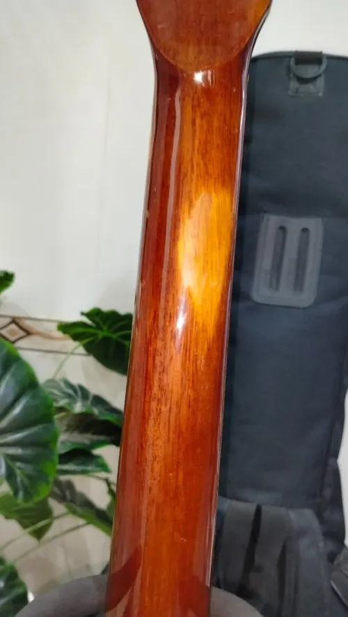 Guitare Acoustique Suzuki vintage