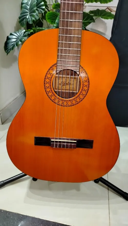 Des Guitares classiques professionnel