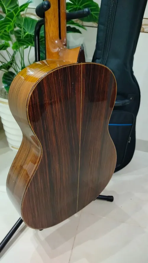 Des Guitares classiques professionnel