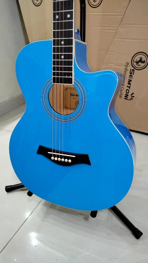 Guitares acoustiques folk