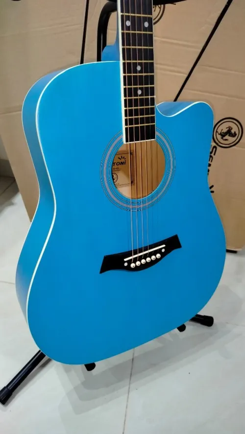 Guitares acoustiques folk