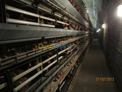 installation electrique en tout gore