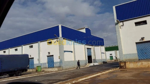 Construction batiments metallique 