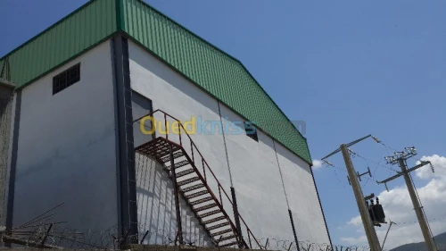 Construction batiments metallique 
