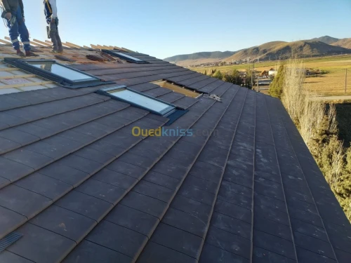 FENETRES DE TOIT DE MARQUE VELUX