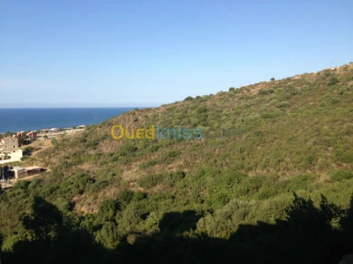 Location Appartement F3 Bejaia Bejaia