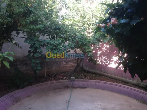 Location Appartement F2 Bejaia Tichy