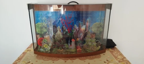 Aquarium