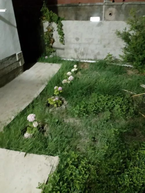 Location Appartement Niveau de villa F3 Jijel El aouana