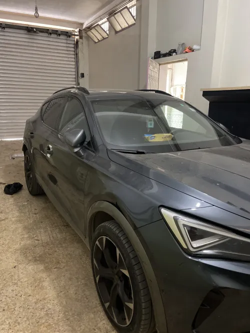 Cupra  Fomantor 2024 Mjmola
