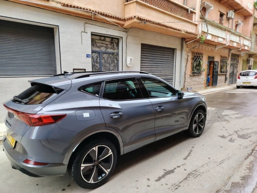 Cupra  Fermonter 2022 
