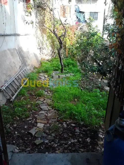 Vente Villa Alger El mouradia
