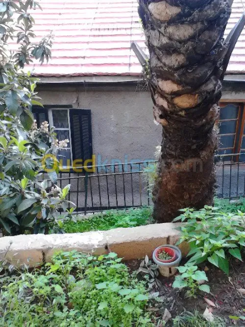 Vente Villa Alger El mouradia