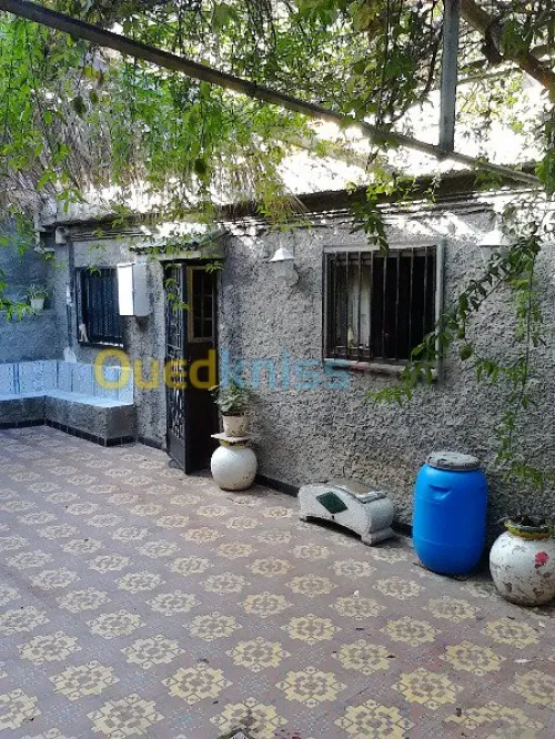Vente Villa Alger El mouradia
