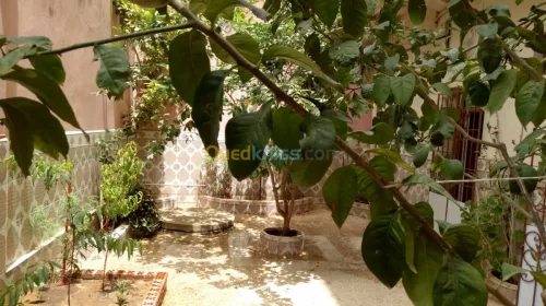 Location Appartement Jijel Jijel