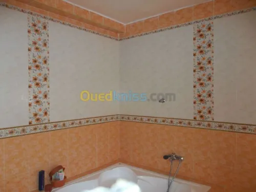 travaux batimon et maconnrie 