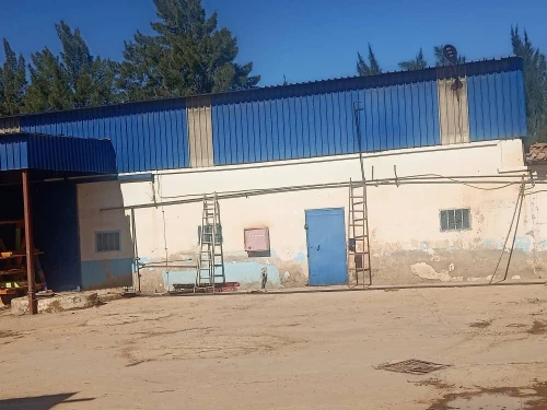 Vente Hangar - Usine Aïn Defla Ain soltane