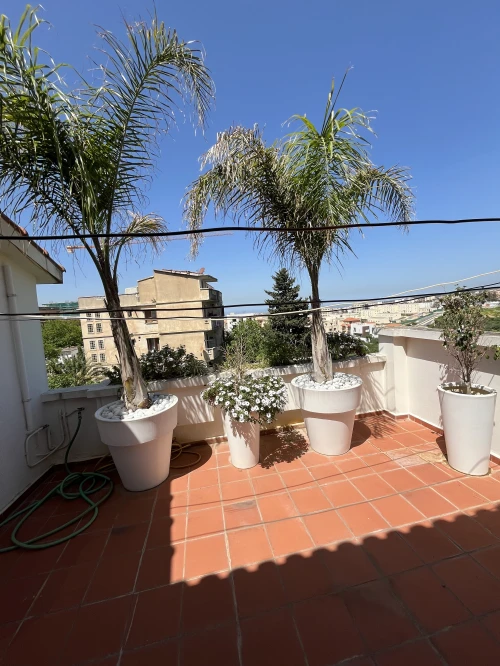 Vente Villa Alger Cheraga