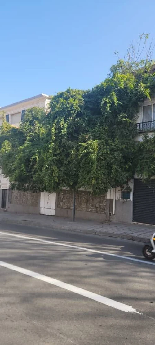 Vente Villa Alger El biar