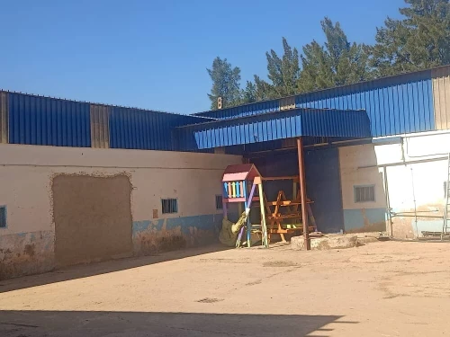 Vente Hangar - Usine Aïn Defla Ain soltane