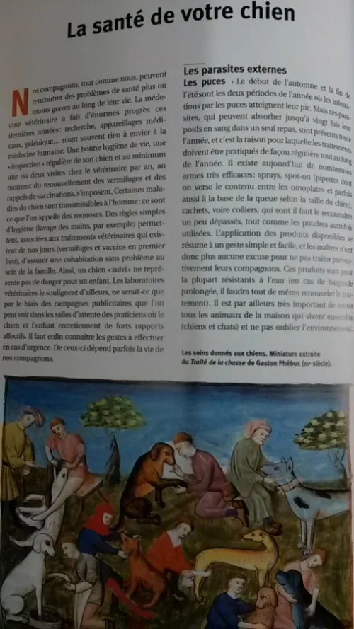 Guide des chiens 