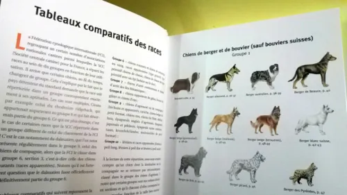 Guide des chiens 