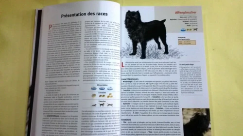 Guide des chiens 