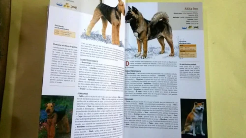 Guide des chiens 