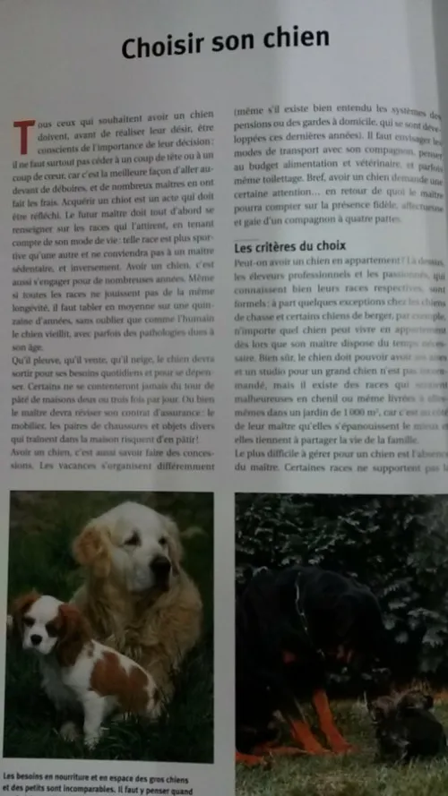 Guide des chiens 