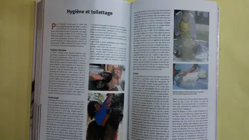Guide des chiens 