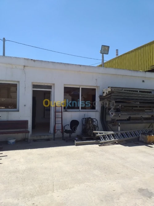 Location Hangar Alger Oued smar