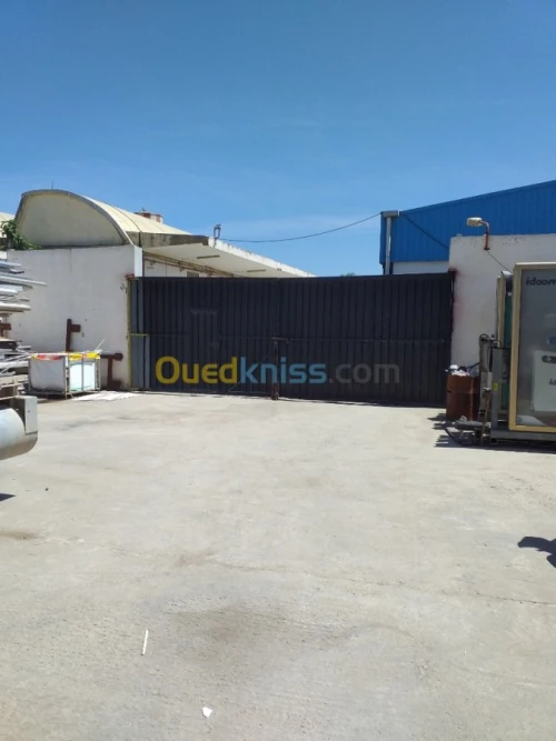Location Hangar Alger Oued smar