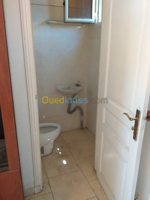 Location Hangar Alger Oued smar