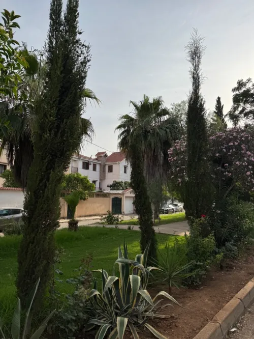 Vente Villa Alger Souidania