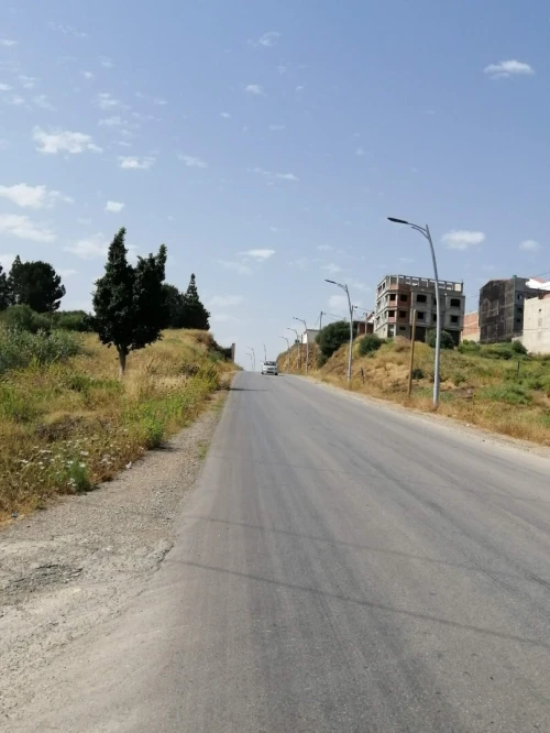 Vente Terrain Blida El affroun