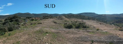 Vente Terrain Tlemcen Mansourah