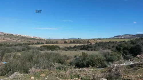 Vente Terrain Tlemcen Mansourah
