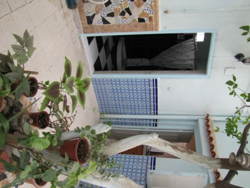 Vente Villa Blida Blida