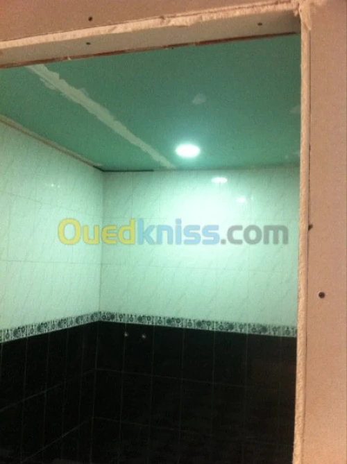 Placo plâtre  .faux plafond . PVC 