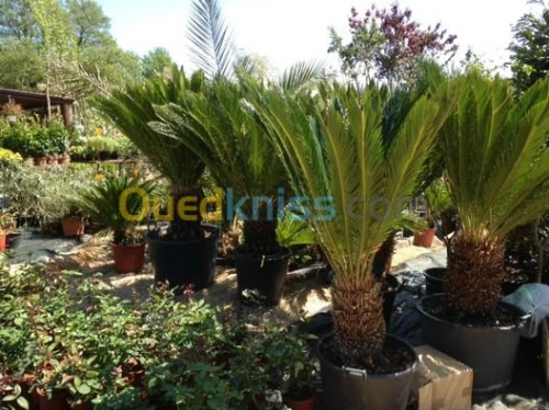 Aménagement des espaces verts et jardi