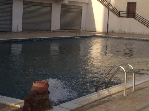 Vente Appartement F4 Béjaïa Bejaia